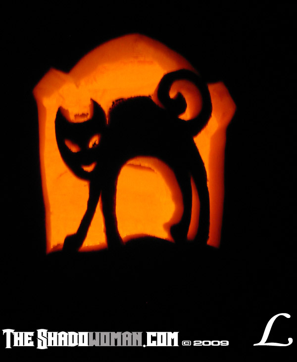 jacks cat
Keywords: jack o lantern, pumpkin, fall, central new york, utica, halloween