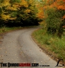 fallroad1.jpg