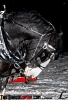 horse1.jpg