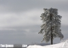 icy2.jpg