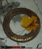 yellowleaf1.jpg