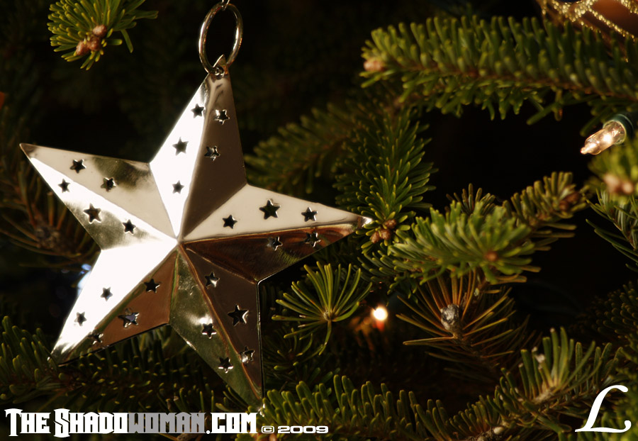 Keywords: christmas, 2009