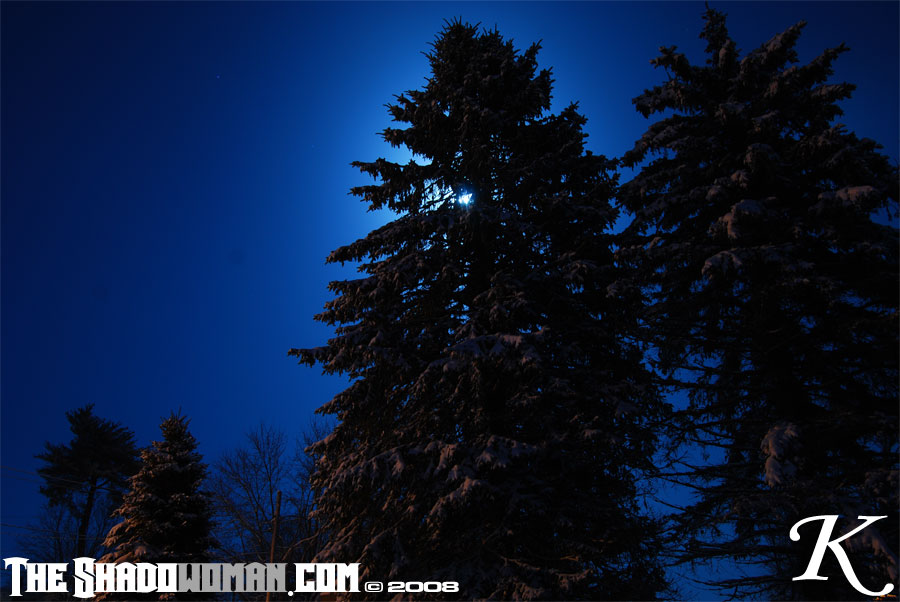 moon4.jpg