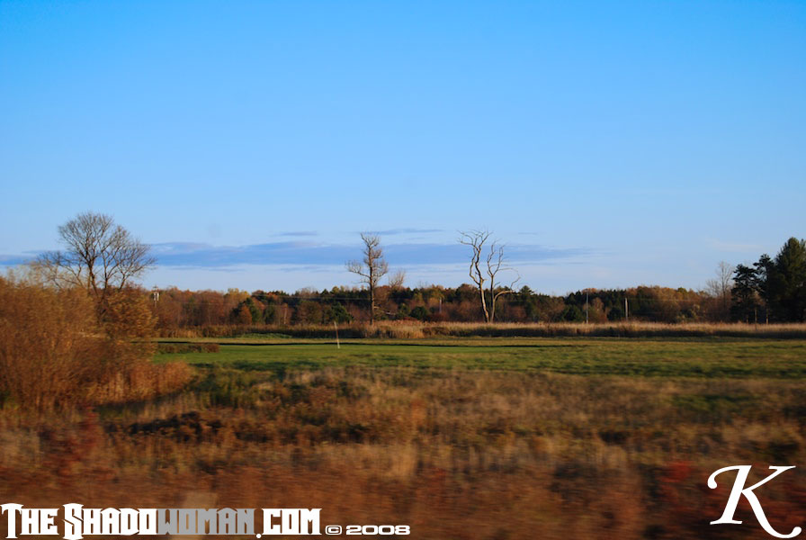 Keywords: tree adirondacks autumn fall dead sky skyline