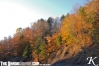 fallskyline.jpg