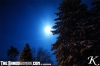 winternightsky.jpg